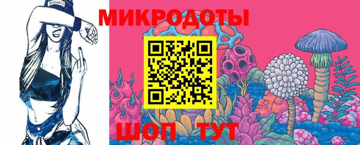 Псилоцибиновые грибы Cubensis Ишимбай
